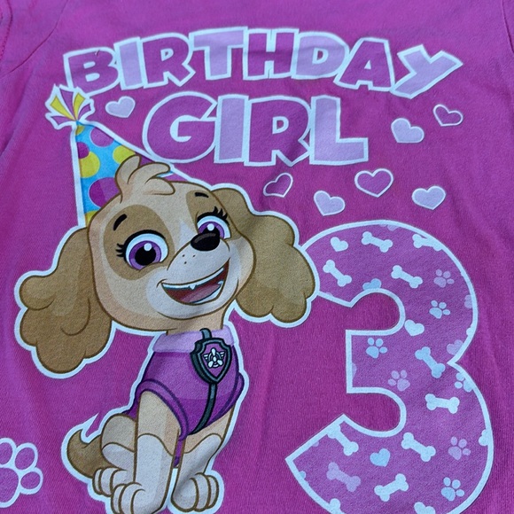 Nickelodeon Paw Patrol Pink SS 3rd Birthday Girl T-Shirt with Cartoon Design 2T - Picture 8 of 16